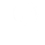 Consultores expertos